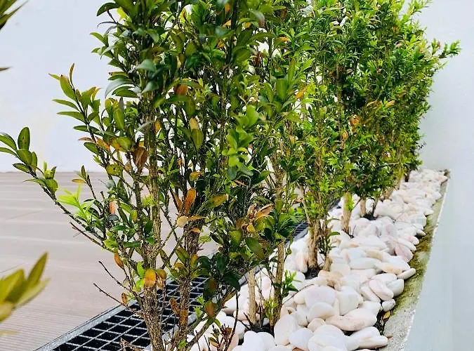 Urban - Azores 4* Πόντα Ντελγκάντα