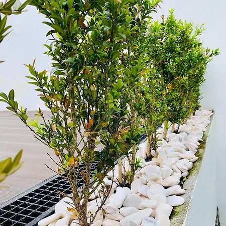 Urban - Azores 4* Ponta Delgada